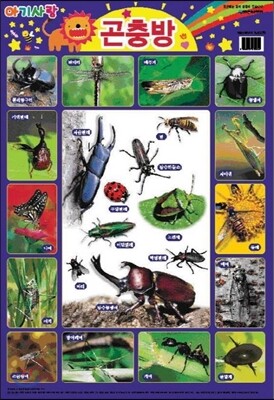 아기사랑 : 곤충방 (벽보)