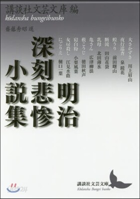 明治深刻悲慘小說集