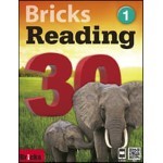 Bricks Reading 30 1