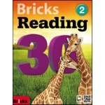 Bricks Reading 30 2