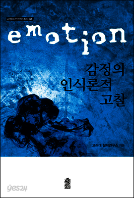 감정의 인식론적 고찰 - 감성의 인간학 총서 04