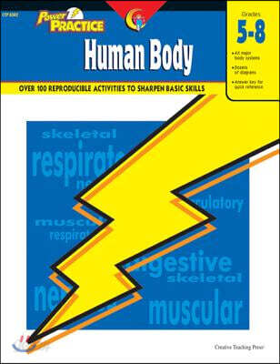 Human Body