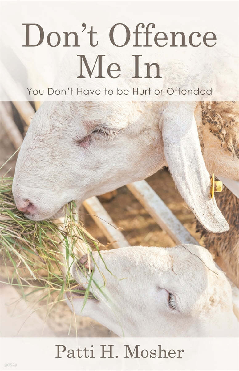 Don't Offence Me In: You Don't Have to be Hurt or Offended