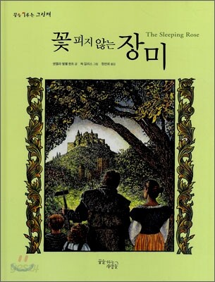 꽃피지 않는 장미