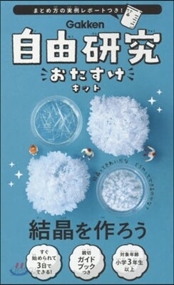 自由硏究おたすけキット 結晶を作ろう