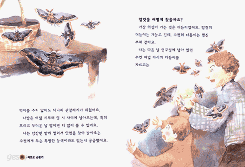 초등학생이 쉽게 읽을 수 있는 파브르 곤충기