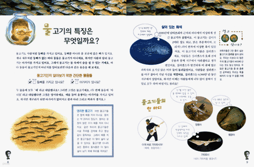 책 정보