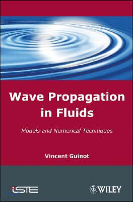 Wave Propagation in Fluids: Models and Numerical Techniques