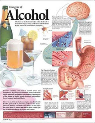 Dangers of Alcohol Anatomical Chart