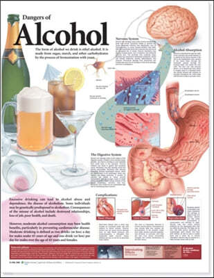 Dangers of Alcohol Anatomical Chart