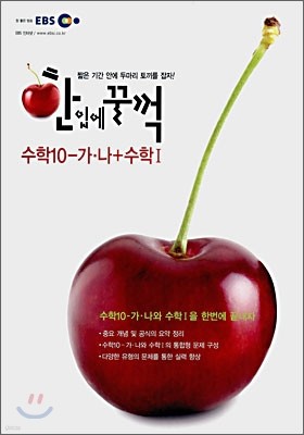 EBS 인터넷 한입에 꿀꺽 수학 10-가·나 + 수학 1 (2008년)