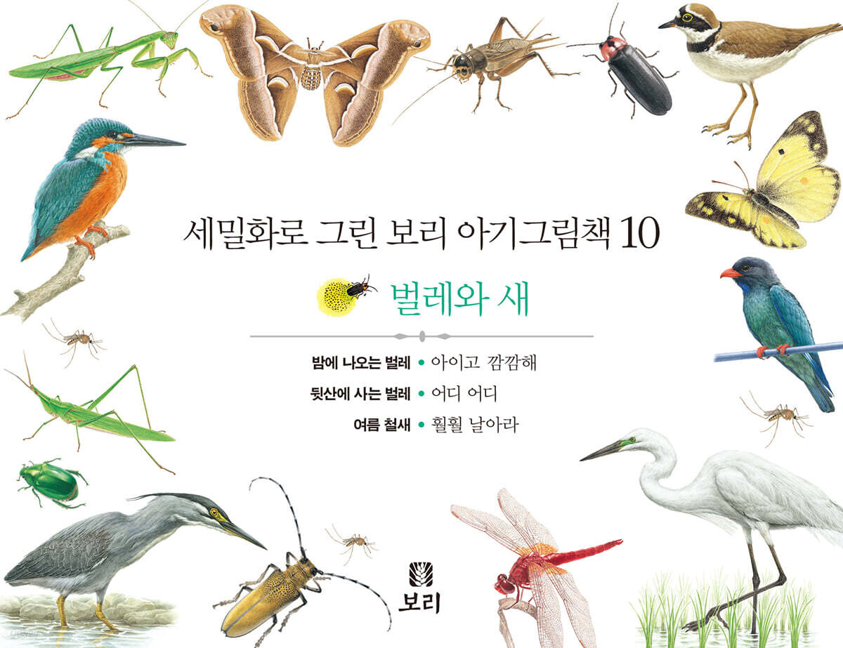 세밀화로 그린 보리 아기그림책 10