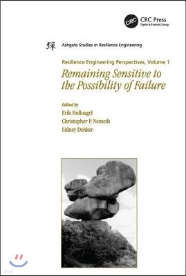 Resilience Engineering Perspectives, Volume 1