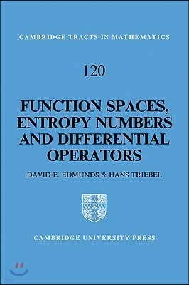 Function Spaces, Entropy Numbers, Differential Operators