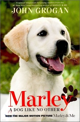 Marley : A Dog Like No Other