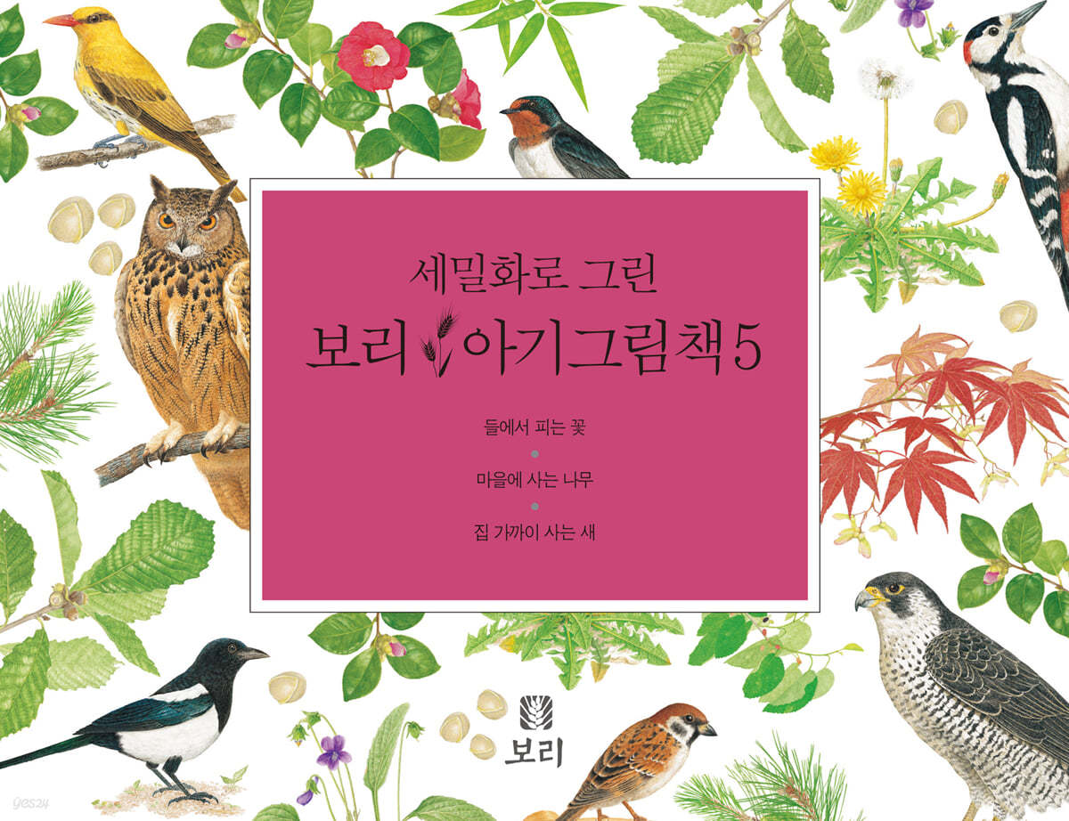 세밀화로 그린 보리 아기그림책 5