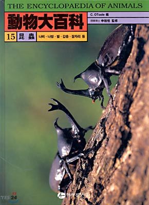 동물대백과 15 : 곤충