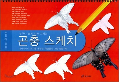 곤충 스케치