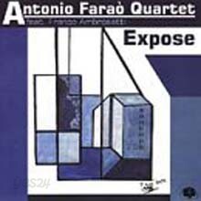 Antonio Farao & Franco Ambrosetti - Expose