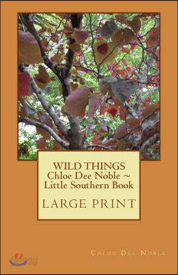 WILD THINGS Chloe Dee Noble Little Southern Book LARGE PRINT EDITION: Large Print Edition