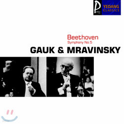 Beethoven : Symphony No.5 : GaukMravinsky