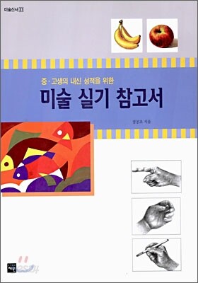미술 실기 참고서