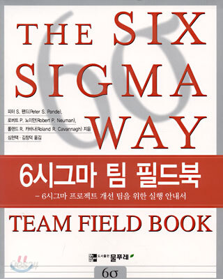 6시그마 팀 필드북