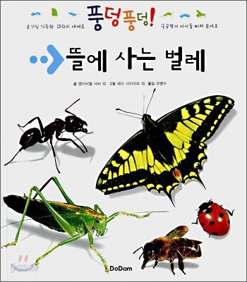 뜰에 사는 벌레
