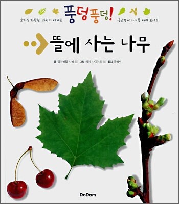 뜰에 사는 나무