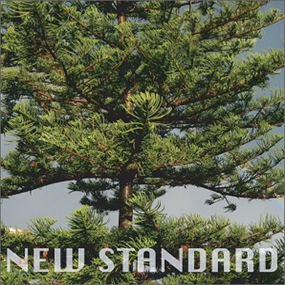 페퍼톤스 (Peppertones) 2집 - New Standard