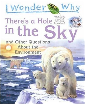I Wonder Why There's a Hole in the Sky