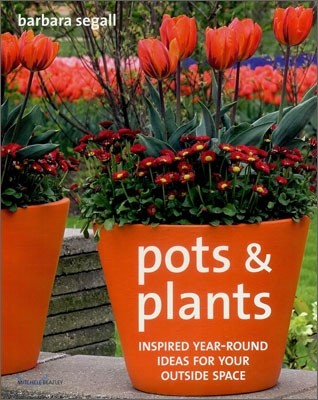 Pots and Plants : Inspired Year-round Ideas for Your Outside Space