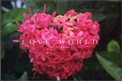LOVE WORLD 大塚愛作品集
