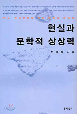 현실과 문학적 상상력