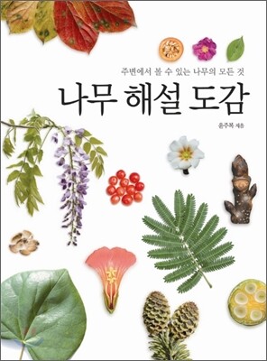 나무 해설 도감