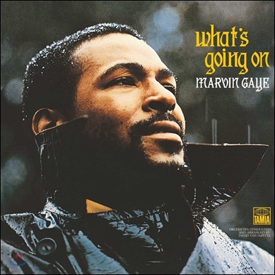 Marvin Gaye (마빈 게이) - What's Going On [LP]