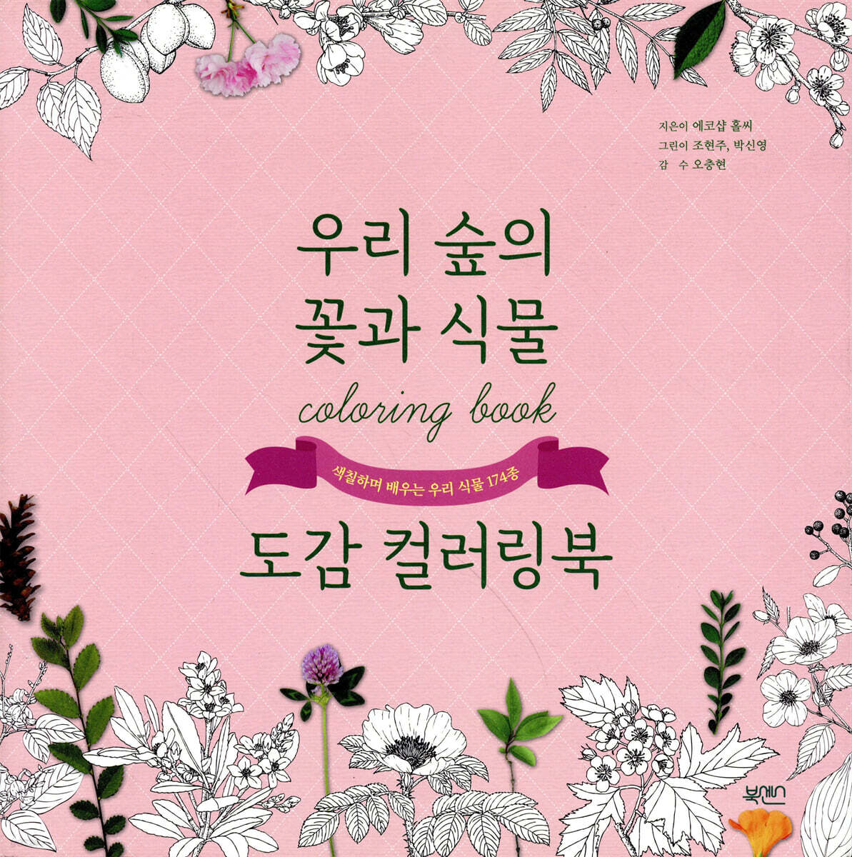 우리 숲의 꽃과 식물도감 컬러링북