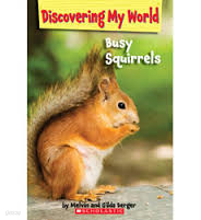 discovering my world busy squirrels