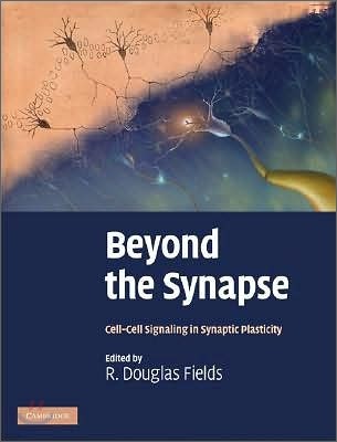 Beyond the Synapse: Cell-Cell Signaling in Synaptic Plasticity