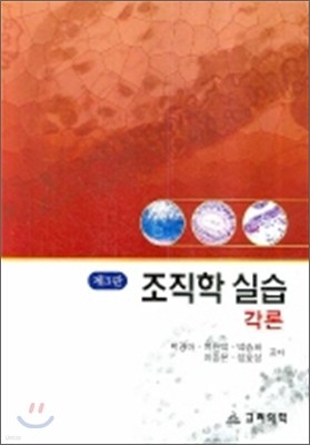 조직학실습 각론