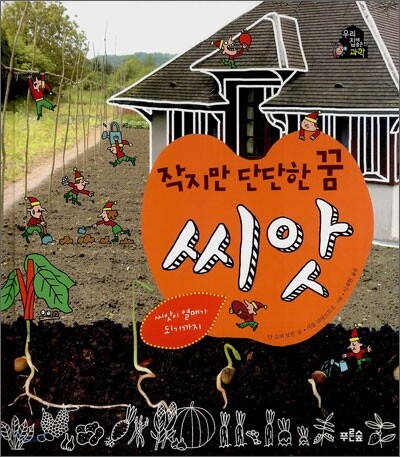 작지만 단단한 꿈 씨앗
