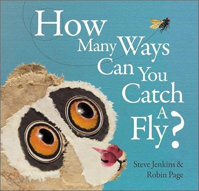 How Many Ways Can You Catch a Fly?