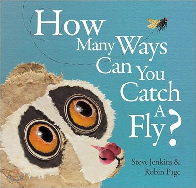 How Many Ways Can You Catch a Fly?