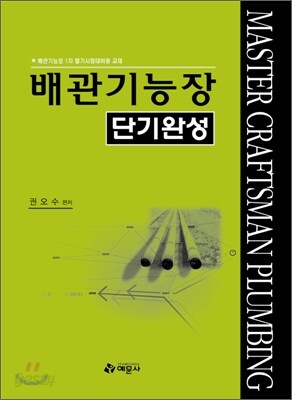 배관기능장 단기완성 (2008)