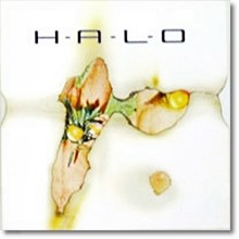 H.A.L.O. (High Altitude Low Opening) - Immanent