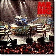 Mr. Big - Live