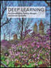 Deep Learning