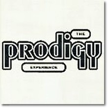 Prodigy - Experience (̰)