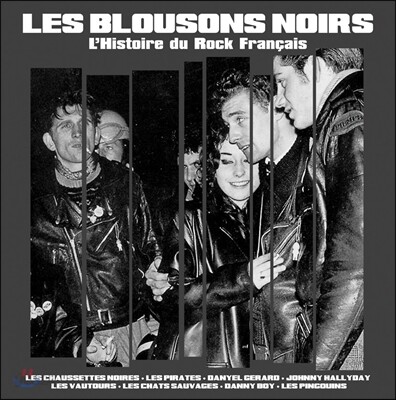 Les Blousons Noirs - L'Histoire Du Rock Francais (레 블루종 느와르 - 1960년대 프랑스 락의 역사) [LP]
