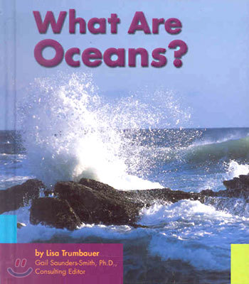 What Are Oceans?